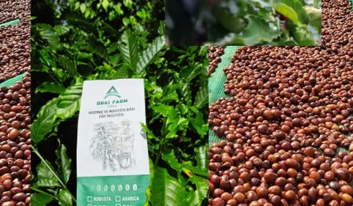 Hiệp hội Trang trại DNVN: Vùng Tây Nguyên luôn hoạt động trách nhiệm và hiệu quả