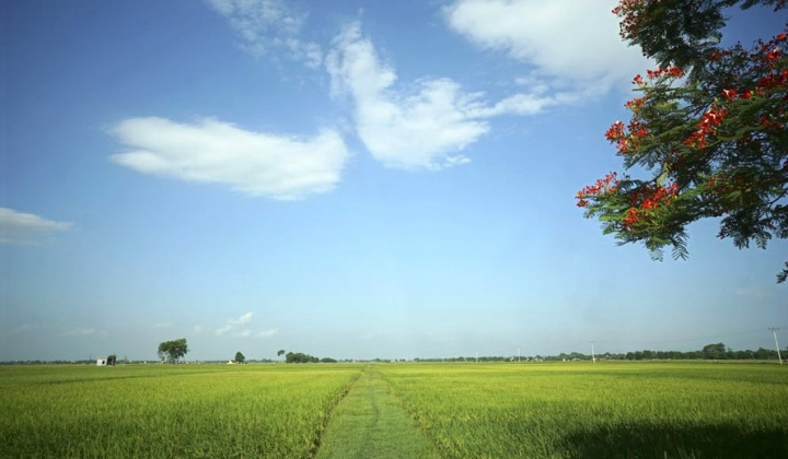 Triển khai kiểm kê đất đai trên phạm vi cả nước từ ngày 01/8/2024