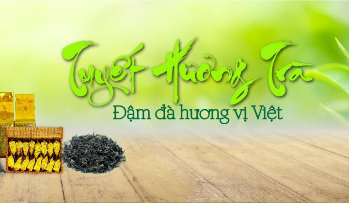 Hợp tác xã Tuyết Hương: Sản xuất chè theo quy trình VietGAP – Hướng đi bền vững