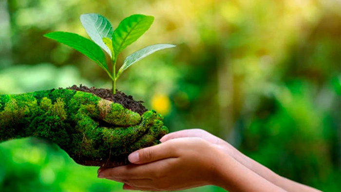 Bảo đảm quyền được sống trong môi trường trong lành của Nhân dân