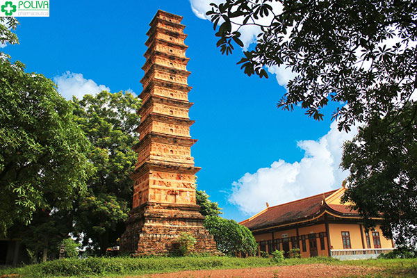 Phát huy giá trị di tích tháp Bình Sơn gắn với phát triển du lịch ở Vĩnh Phúc