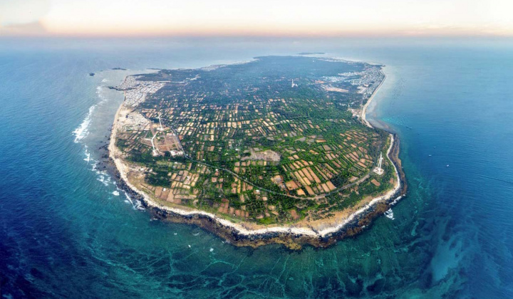 Xây dựng đảo Phú Quý thành trung tâm khai thác, dịch vụ hậu cần nghề cá, kết hợp tìm kiếm cứu nạn trên biển