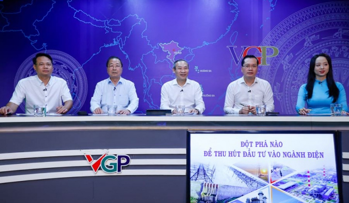 Tọa đàm: Đột phá nào để thu hút đầu tư vào ngành điện