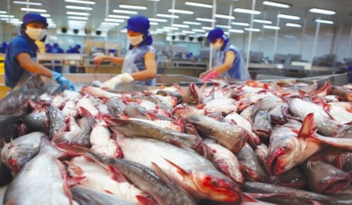 Triển lãm Vietfish 2024