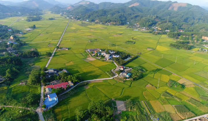 Phú Lương, Thái Nguyên: Tập trung nguồn lực đẩy nhanh tiến độ hoàn thành tiêu chí Huyện Nông thôn mới