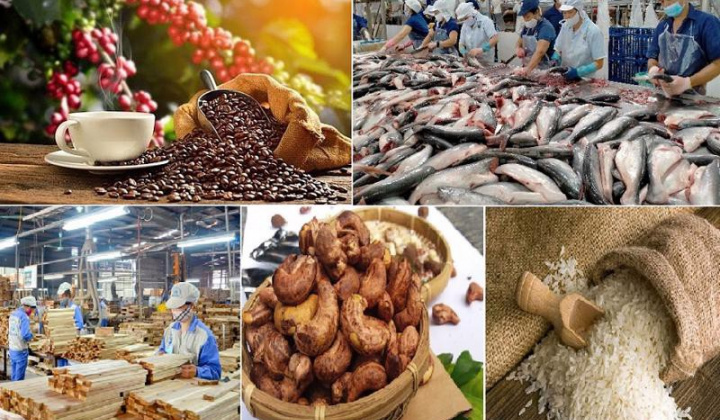 Hoàn thiện chính sách Xây dựng thương hiệu nông sản Việt Nam