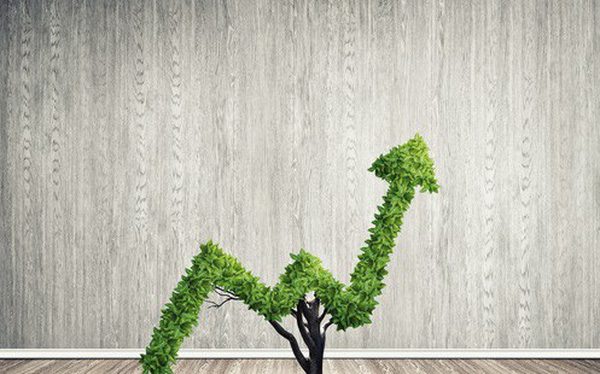 Vai trò của tầng lớp trung lưu Việt Nam - Xu hướng và Giải pháp