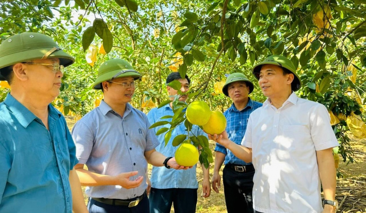 Khuyến nông cộng đồng, cánh tay nối dài cho hệ thống  Khuyến nông tỉnh Hà Tĩnh