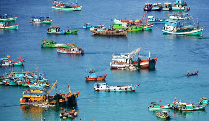 Quyết tâm gỡ "Thẻ vàng" IUU