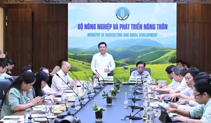Cần thiết thành lập Hội đồng lúa gạo quốc gia