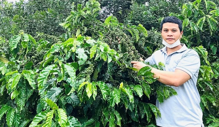Asanzo Coffee – Tinh hoa cà phê hảo hạng dành cho người Việt