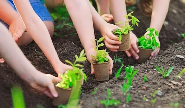 Bảo vệ môi trường vì mục tiêu phát triển bền vững đất nước