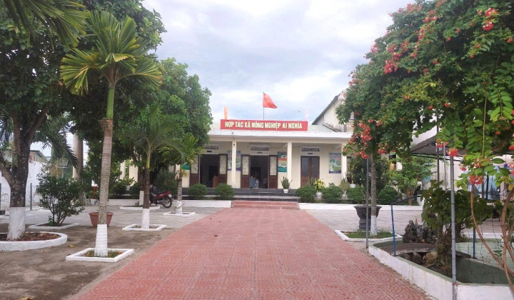 Hợp tác xã Nông nghiệp Ái Nghĩa: Đẩy mạnh liên kết thu mua nông sản cho nông dân