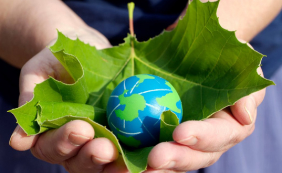 Đẩy mạnh việc phân quyền cho các địa phương trong lĩnh vực bảo vệ môi trường