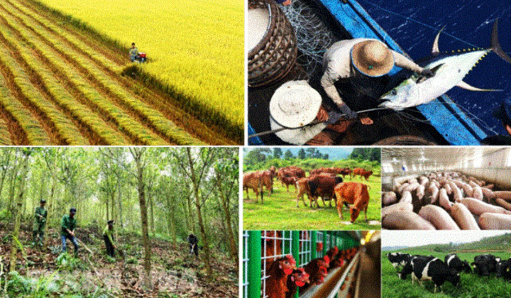 Quy định cụ thể các tiêu chí phân loại hợp tác xã