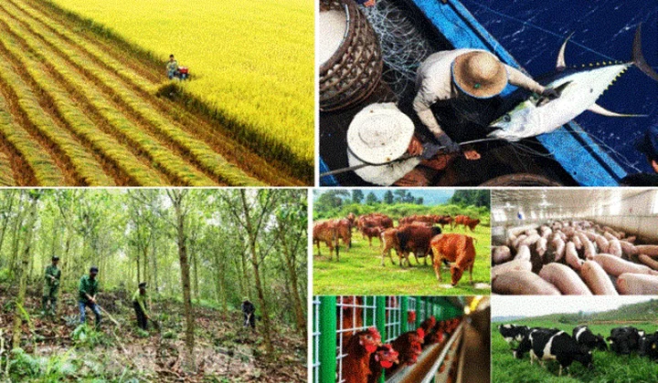 Quy định cụ thể các tiêu chí phân loại hợp tác xã