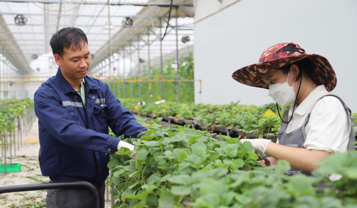 Nghị quyết 143/NQ-CP: Lực đẩy quan trọng cho doanh nghiệp phục hồi sau bão lũ