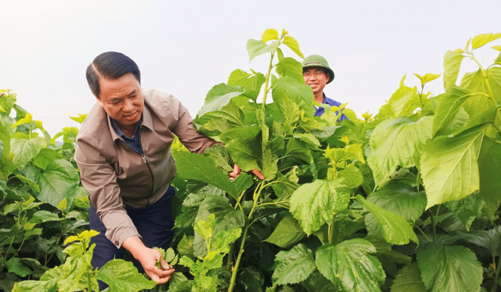 Văn Yên (Yên Bái): Vận dụng sáng tạo lời căn dặn của Bác Hồ trong kiến tạo xây dựng huyện nông thôn mới
