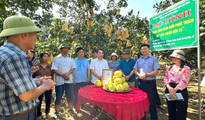 Hà Tĩnh tập trung thực hiện chỉ tiêu 13.5 - Tổ khuyến nông cộng đồng hướng đến 2025 toàn tỉnh đạt chuẩn nông thôn mới