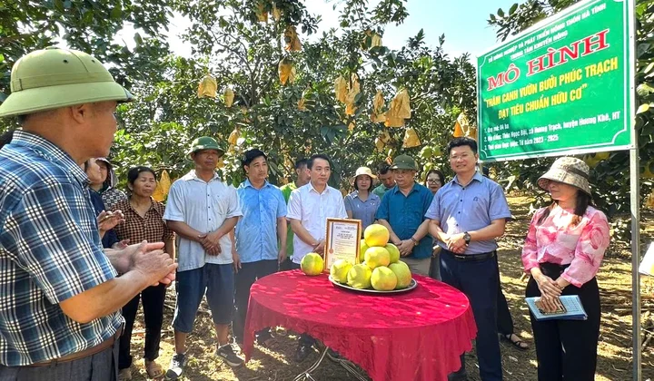 Hà Tĩnh tập trung thực hiện chỉ tiêu 13.5 - Tổ khuyến nông cộng đồng hướng đến 2025 toàn tỉnh đạt chuẩn nông thôn mới