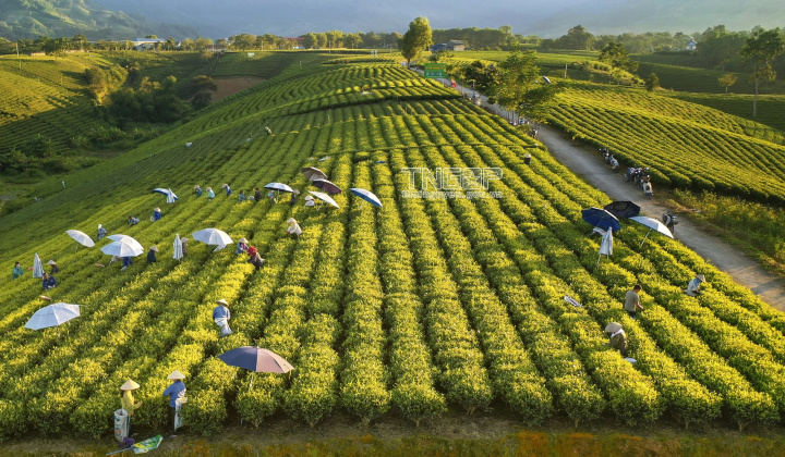 Thái Nguyên đẩy mạnh thu hút đầu tư phát triển du lịch