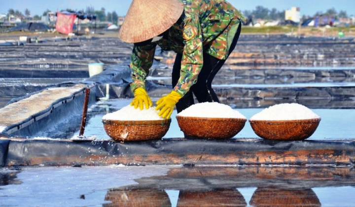 Muối Sa Huỳnh Quảng Ngãi: “Cú huých” để phát triển sản phẩm OCOP