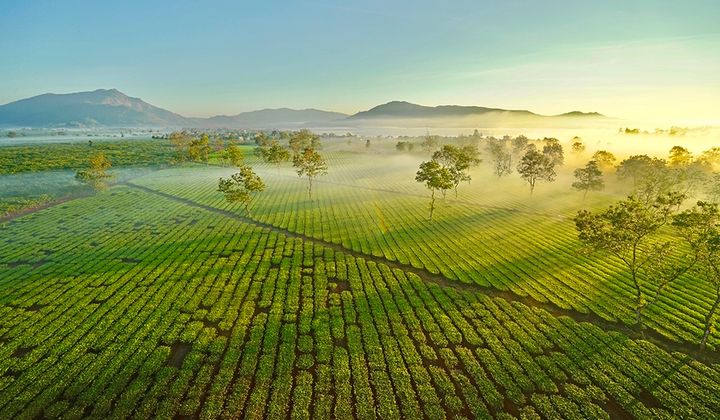 Xã Nghĩa Hưng, Chư Păh, Gia Lai: Quyết tâm cao nhất về đích Nông thôn mới
