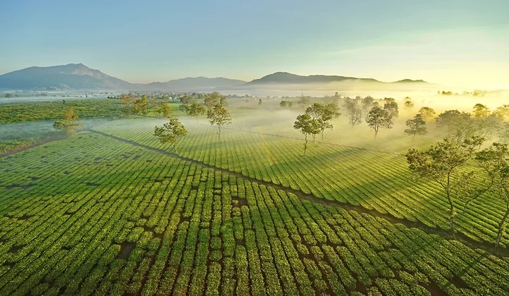 Xã Nghĩa Hưng, Chư Păh, Gia Lai: Quyết tâm cao nhất về đích Nông thôn mới