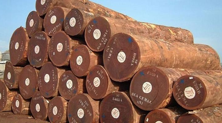 Hệ thống bảo đảm gỗ hợp pháp Việt Nam
