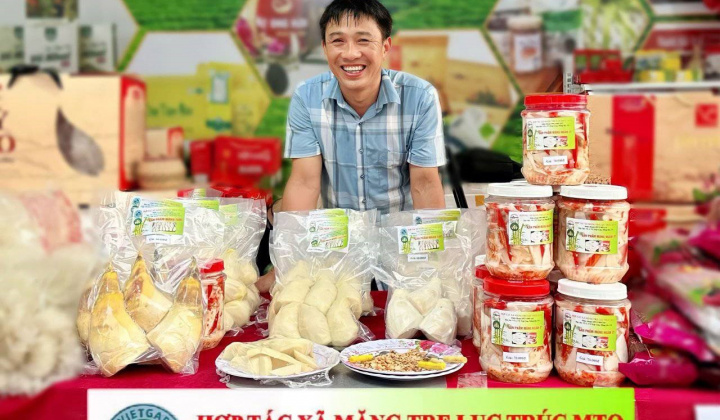 Thái Nguyên: Mô hình trồng măng tre lục trúc – Hướng phát triển kinh tế mới và bền vững cho người dân