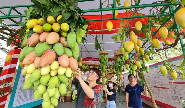 Tôn vinh giá trị Xoài tại lễ hội Xoài Cao Lãnh