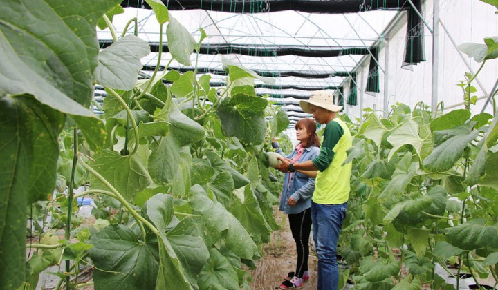 Nhiều xã tại tỉnh Bắc Ninh đạt Nông thôn mới nâng cao