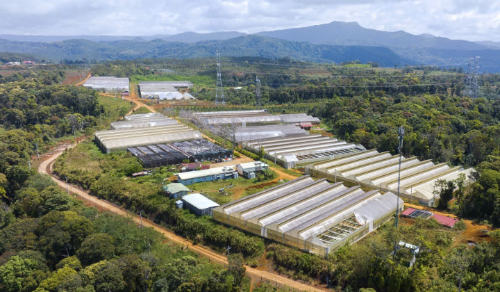 Kon Tum quy hoạch thuận lợi để các tập đoàn kinh tế lớn tham gia đầu tư