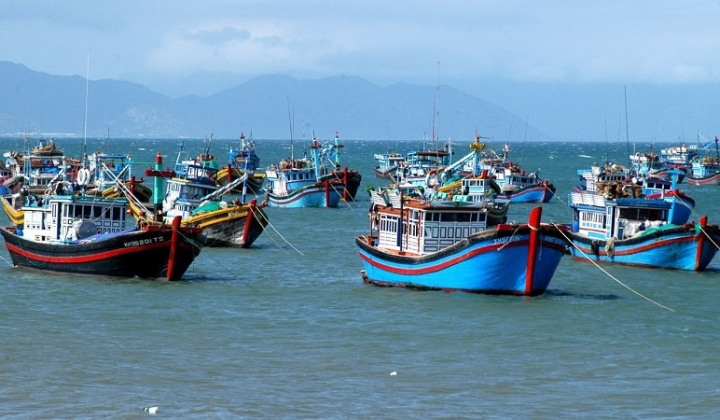 Việt Nam quyết tâm gỡ 'thẻ vàng IUU' của EC: Hành trình khắc phục và phát triển bền vững ngành thủy sản