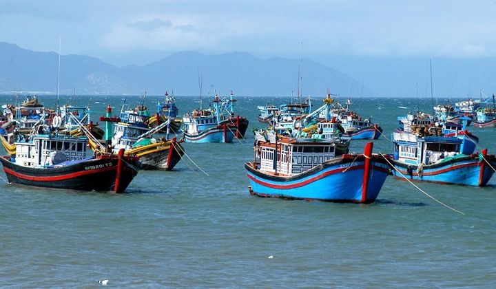 Việt Nam quyết tâm gỡ 'thẻ vàng IUU' của EC: Hành trình khắc phục và phát triển bền vững ngành thủy sản