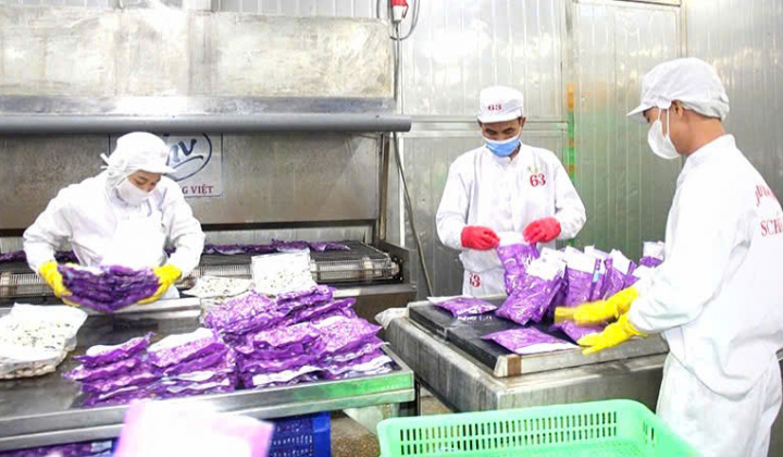 Thanh Hóa: Đạt nhiều kết quả quan trọng trong hội nhập kinh tế quốc tế