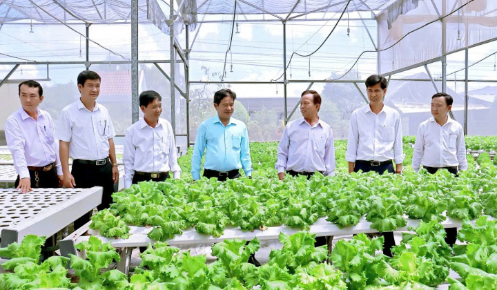 Nông thôn khởi sắc trên quê hương Phước Vân