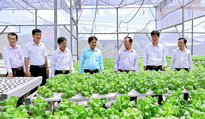 Nông thôn khởi sắc trên quê hương Phước Vân