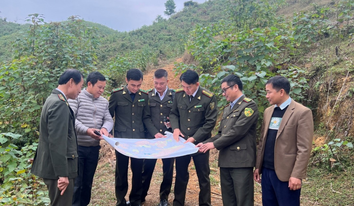 Chi cục Kiểm lâm Thái Nguyên: Nâng cao vai trò quản lý, bảo vệ và phát triển rừng