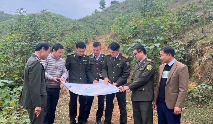 Chi cục Kiểm lâm Thái Nguyên: Nâng cao vai trò quản lý, bảo vệ và phát triển rừng