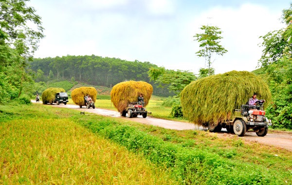 Môi trường nông thôn - Thực trạng và giải pháp