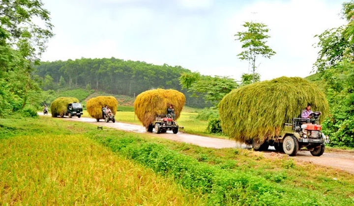Môi trường nông thôn - Thực trạng và giải pháp
