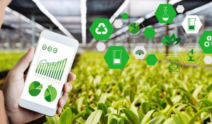 Khoảng cách số ở nông thôn: Thách thức từ hạ tầng đến tri thức số