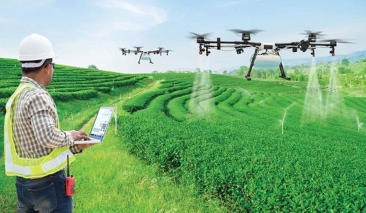 Nông dân Việt Nam: Hiện tại và tương lai