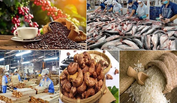 Mở đường cho nông sản bằng sức mạnh công cụ thị trường