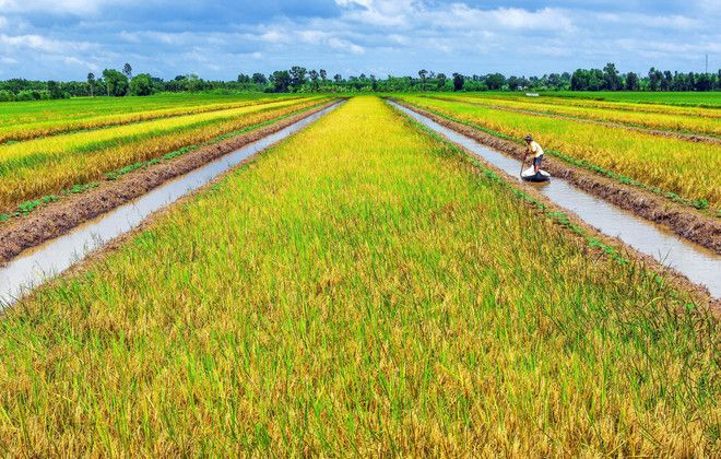 Phát triển nông nghiệp bền vững trong bối cảnh biến đổi khí hậu: Thách thức và Giải pháp thích ứng