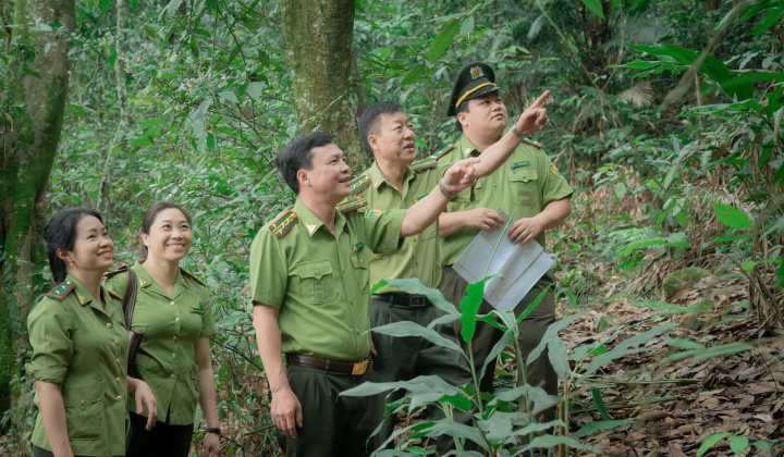 Giữ màu xanh đại ngàn – Dấu ấn bền bỉ của lực lượng Kiểm lâm Thái Nguyên