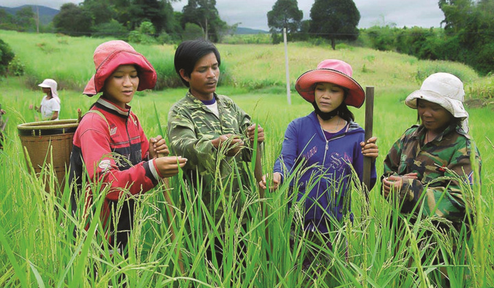 Cà Mau đẩy mạnh xây dựng nông thôn mới, hướng tới mục tiêu giảm nghèo bền vững và phát triển toàn diện