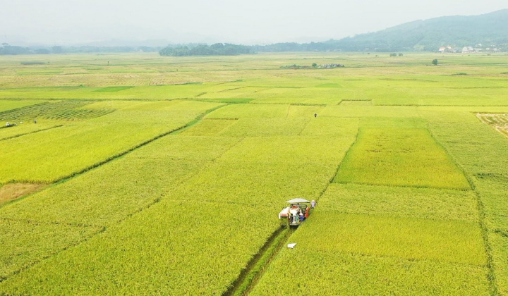 Thái Nguyên tăng tốc thực hiện chương trình giảm nghèo bền vững đến năm 2030
