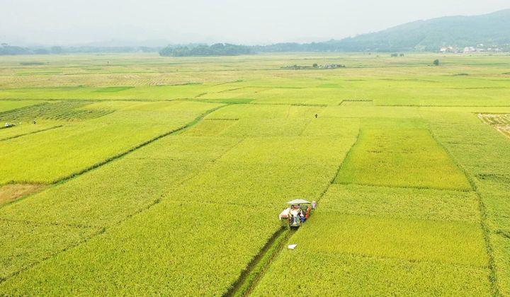 Thái Nguyên tăng tốc thực hiện chương trình giảm nghèo bền vững đến năm 2030
